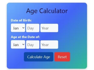SI-Loan-Calculator-AGE-CALCULATOR-कैसे-कार्य-करता-है.webp