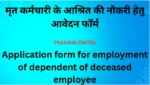 Application-form-for-employment-of-dependent-of-deceased-employee